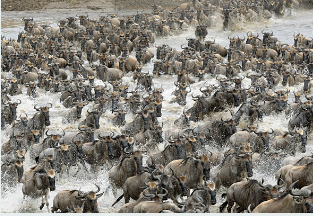 Serengeti National Park